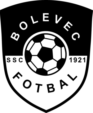 SDRUŽENÍ SPORTOVNÍCH KLUBŮ BOLEVEC z.s.