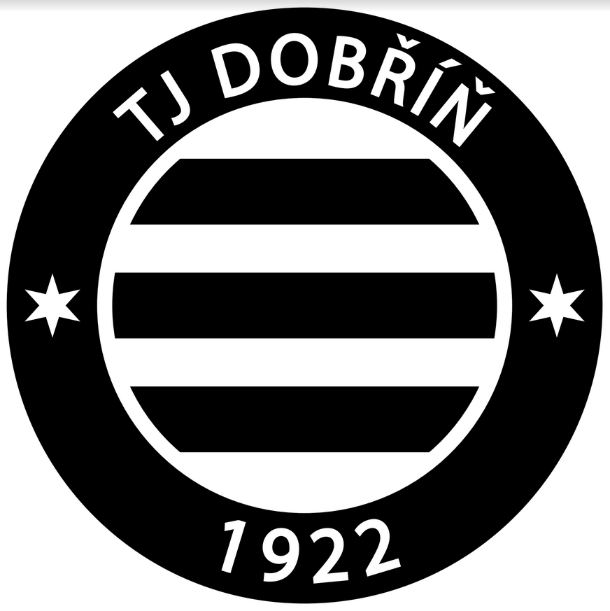 TJ Dobříň z.s.