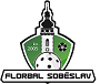 Florbal Soběslav z.s.