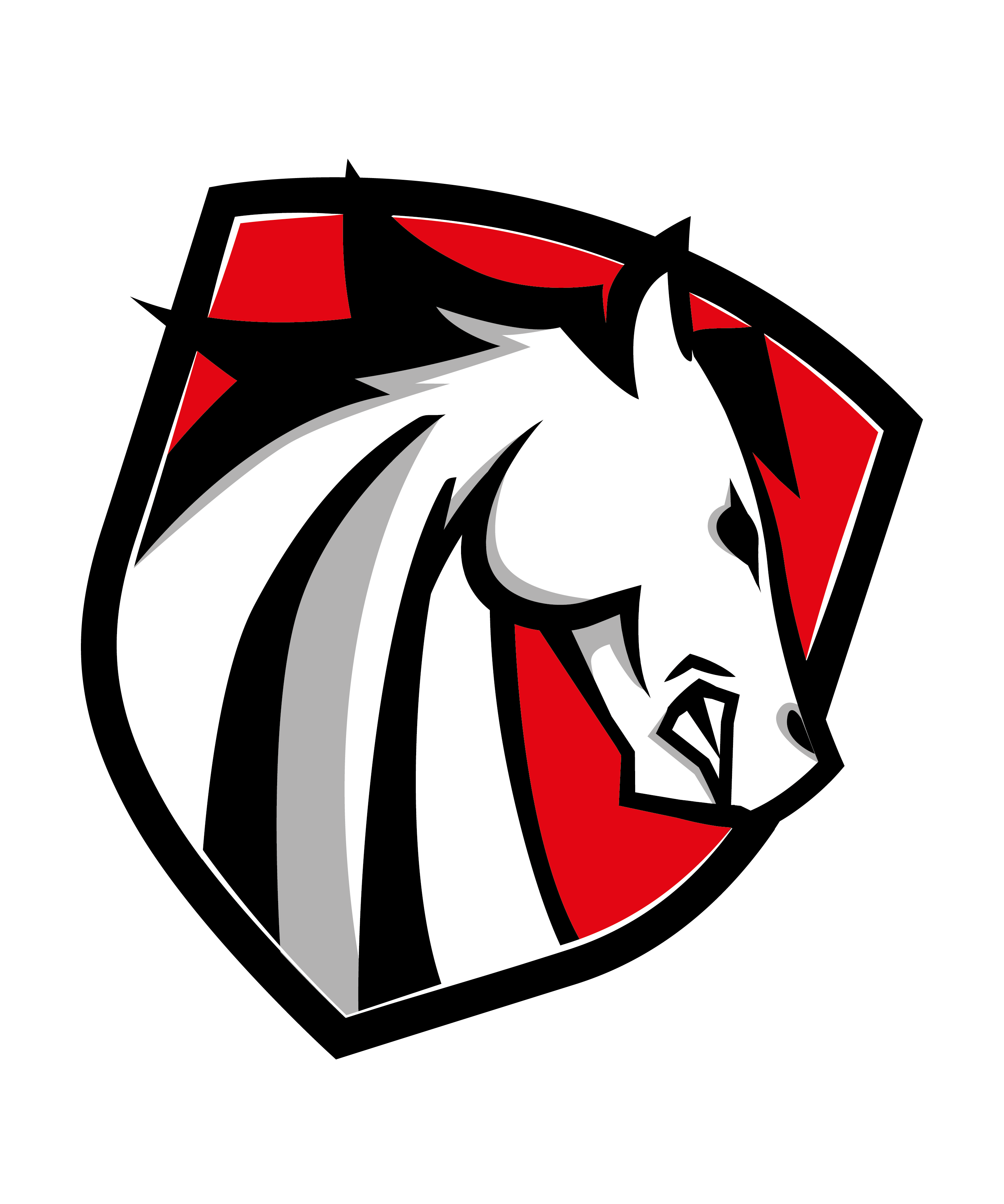 Prague MUSTANGS z.s.