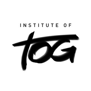 Institute of TOG z. s.