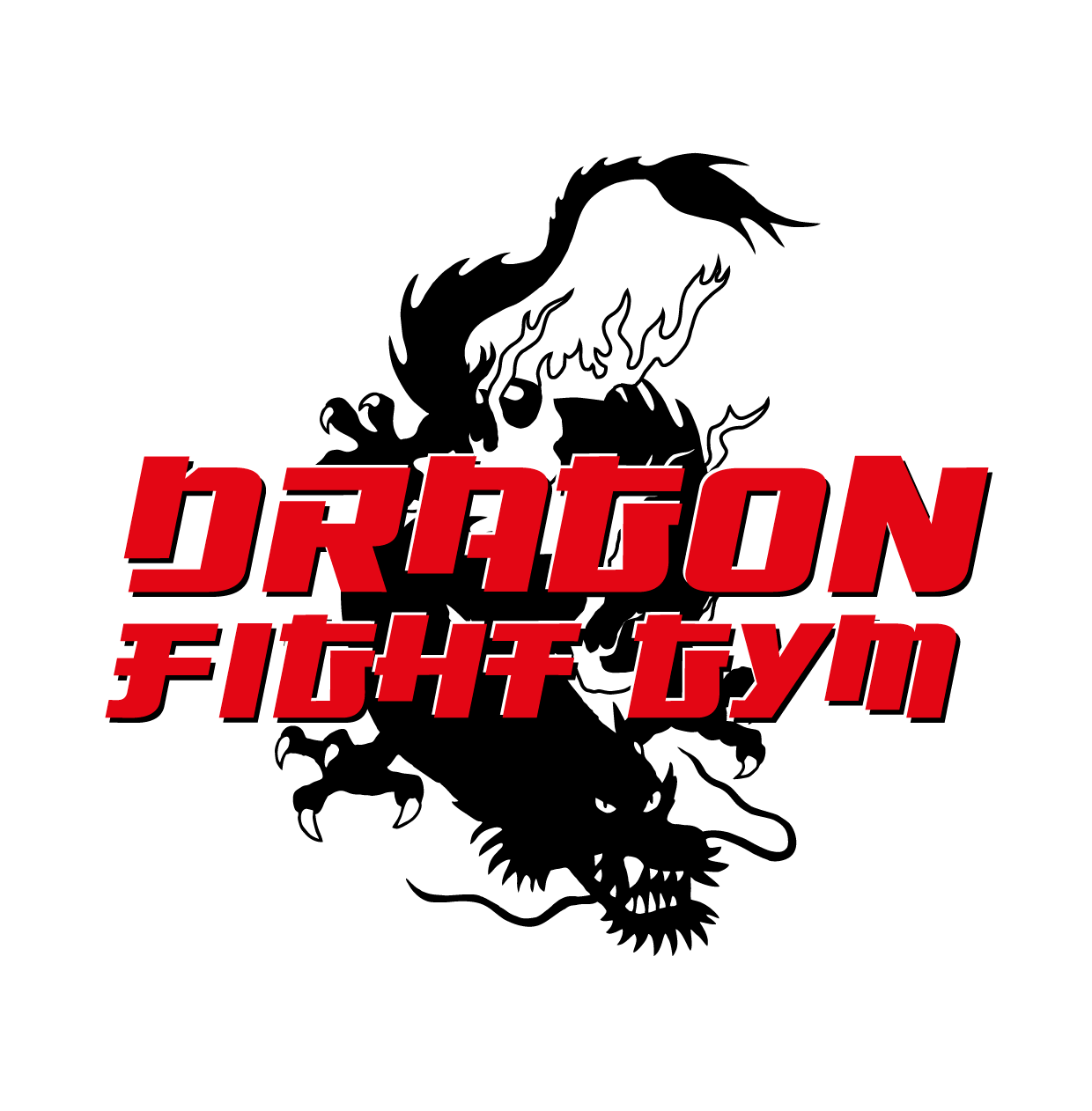 Dragon fight gym z.s.