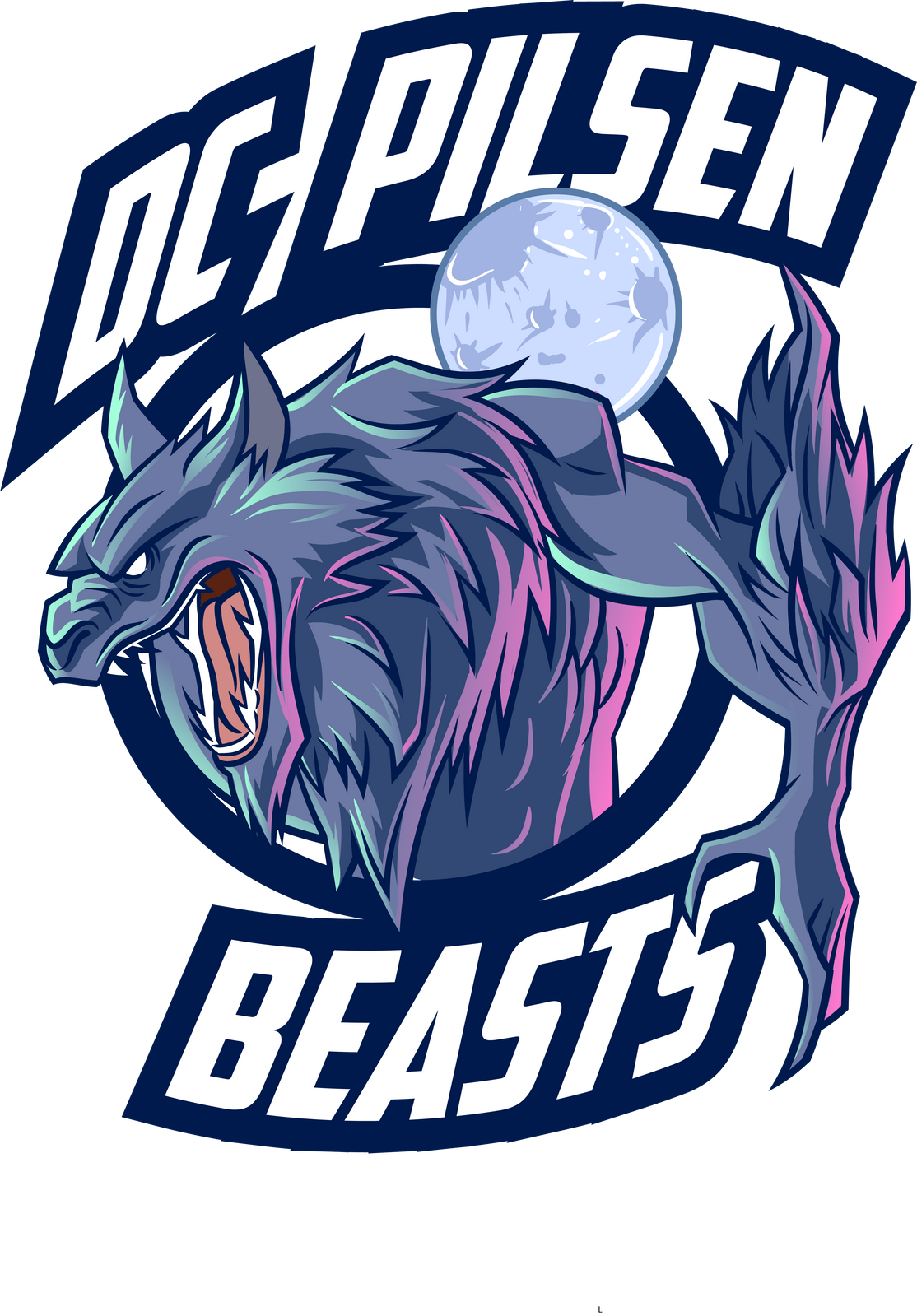 Dodgeball Club Pilsen z.s.